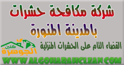 شركة مكافحة الحشرات بالمدينة المنورة شركة مكافحة الحشرات بالمدينة المنورة