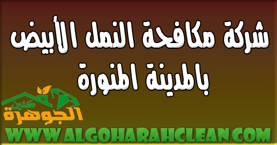 شركة مكافحة النمل الأبيض بالمدينة المنورة شركة مكافحة النمل الأبيض بالمدينة المنورة