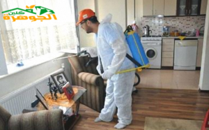 شركة رش مبيدات بالمدينة المنورة