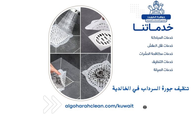 تنظيف جورة السرداب في الخالدية