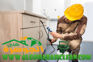شركة مكافحة الحشرات بالمدينة المنورة شركة مكافحة الحشرات بالمدينة المنورة