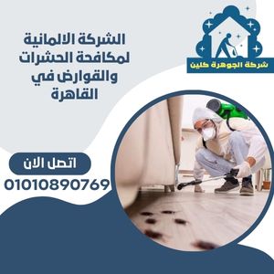 الشركة الالمانية لمكافحة الحشرات والقوارض في القاهرة